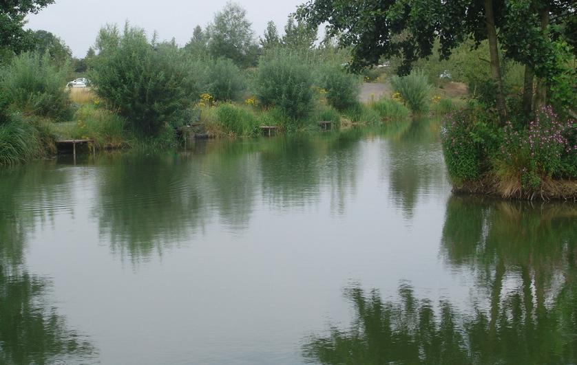 Extension Pool At Tunnel Barn Farm.jpg